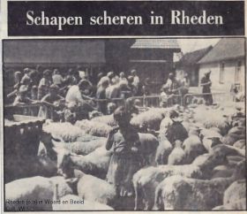 Schaapscheerdersfeest Rheden 1981 FB 17 juni 2016.jpg