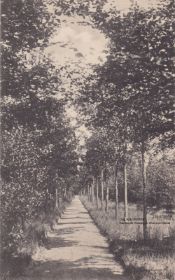 Den Imbosch weggetje 9 juli 1938 De Steeg of Ellecom  of Dieren kaart van Van Nes Dieren gepost in Aalten met WP en GRWB.jpg