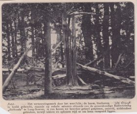 Weerlicht richt verwoesting aan in Laag Soeren bij Bethesda in juli 1907 met naam WP en GRWB op FB 4 dec. 2014.jpg