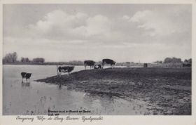 IJsselgezicht vermoedelijk bij Dieren kaart verzonden 1939.jpg