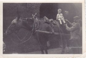 Willem Stenfert met paard en wagen en klein kind bij zijn woonboerderij begin jaren vijftig FB 12-3-2015 en site 22-2-2017 (1).jpg