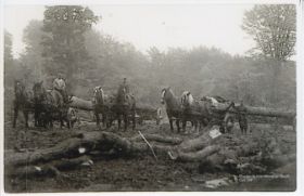 Medewerkers Hupkes in bos rondom Dieren in-rond 1921 FB 15-1-2017.jpg